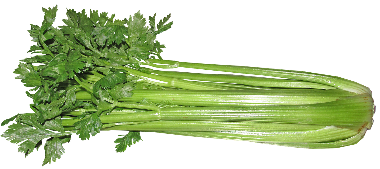 celery benefits